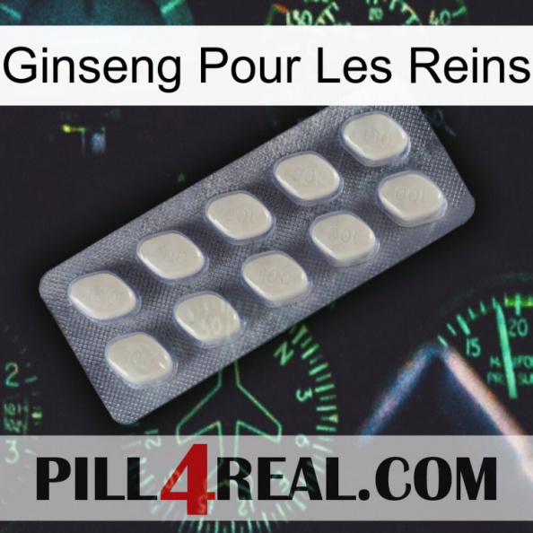 Ginseng For Kidney 08.jpg